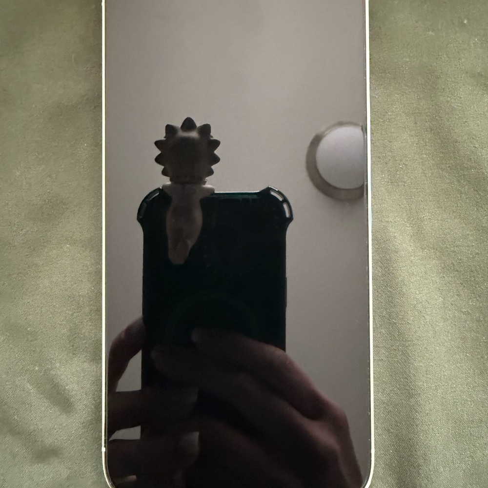 Apple iPhone 13 Pro Max - Silver - Picture 10 of 15